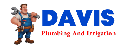 Trusted plumber in DE SMET